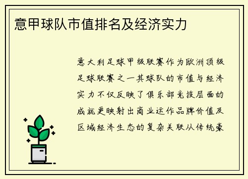 意甲球队市值排名及经济实力
